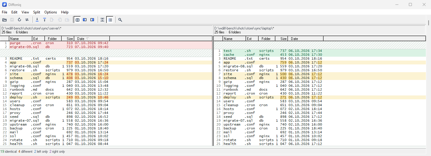 Directory comparison of server against laptop with ignore rules active; the status bar reads 19 identical, 4 different, 2 left only, 2 right only